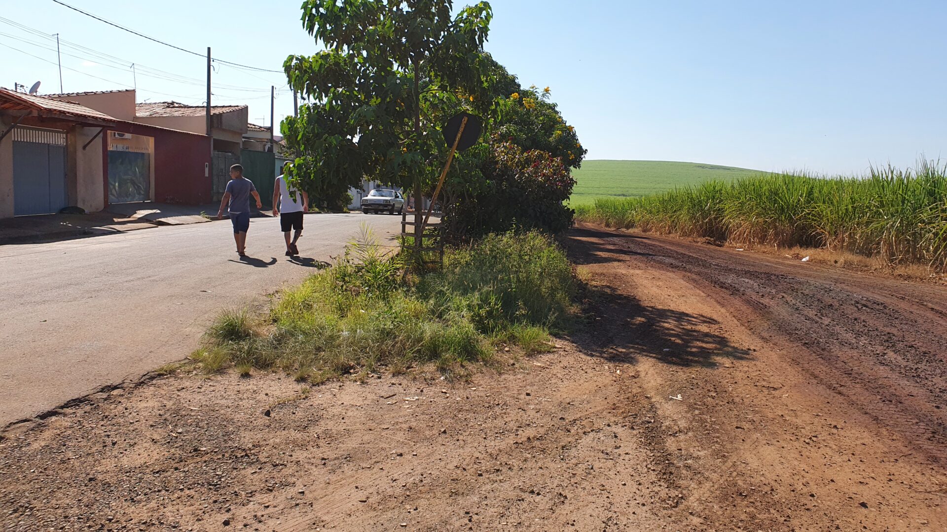 Estrada de terra paralela a casas do Luiz Massud Coury