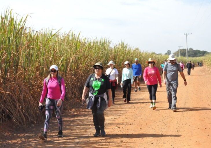 Caminhada acontece no sábado (28), com concentração às 5h30, em frente ao Ginásio Municipal