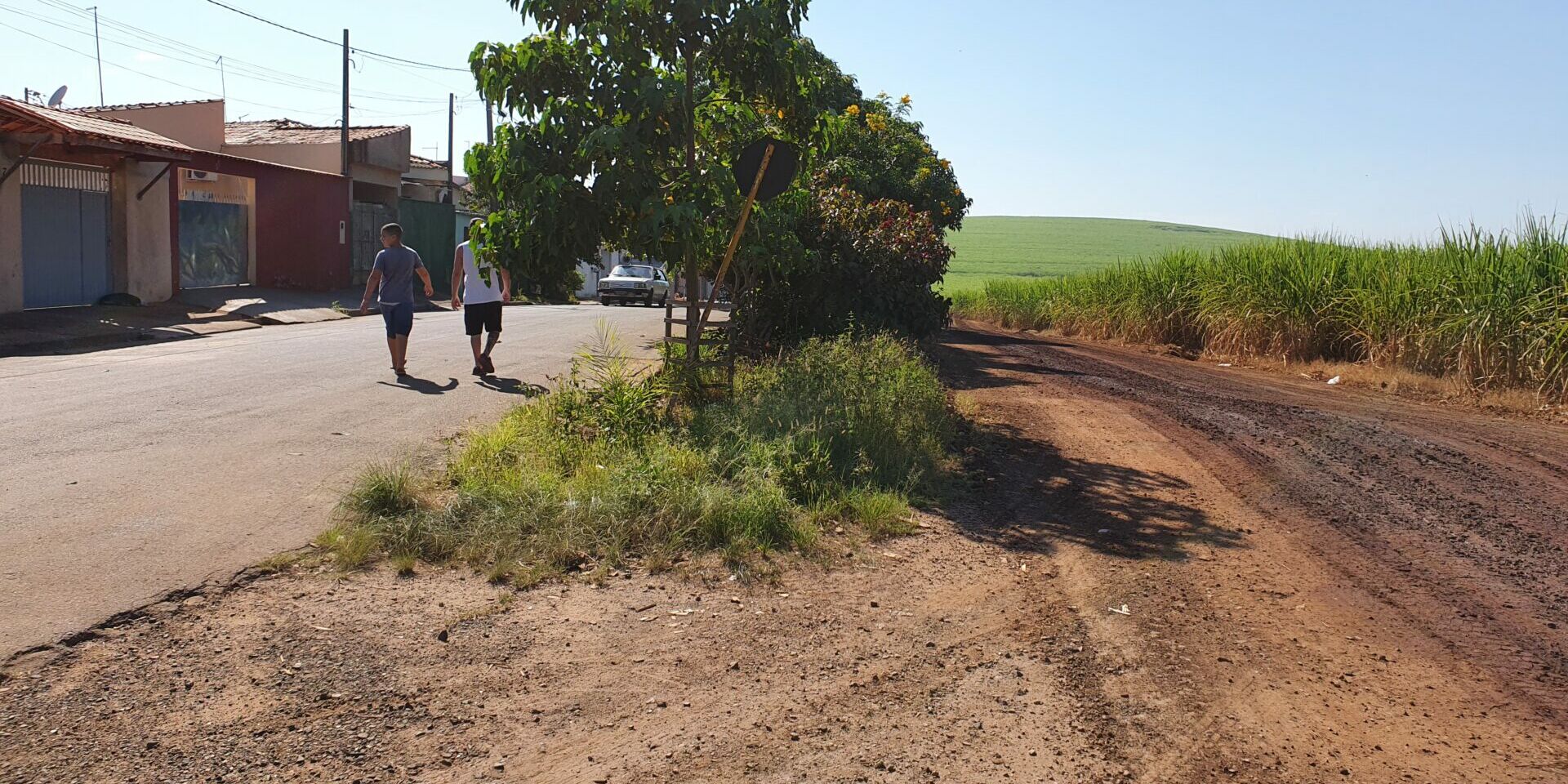 Estrada de terra paralela a casas do Luiz Massud Coury