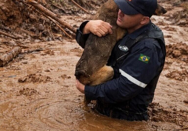 JhonnyCasarinMG1 JhonnyCasarinMG1