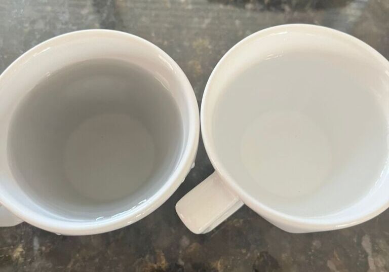 Na xícara da esquerda, água da torneira; na direita, água mineral