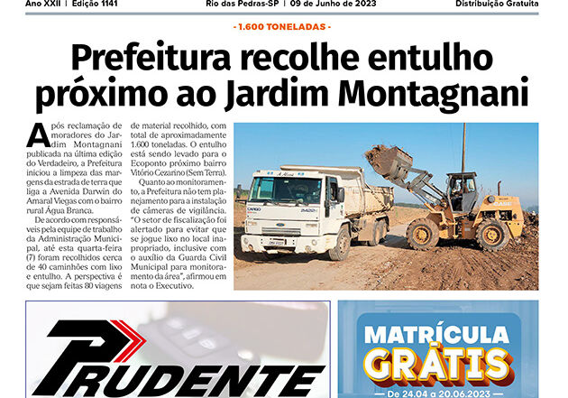 Edição 1141 Edição 1141